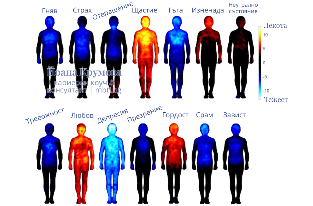 Карта на телесните усещания (BSM) на основни емоции, включително неутрално състояние (горен панел) и неосновни емоции (долен панел). Топлите цветове показват области на тялото с повишено усещане за телесна лекота, а студените цветове показват региони с повишено усещане за телесна тежест, когато участниците преминават в различни емоционални състояния. Цветната лента показва диапазона на t-статистиката (p < .05, FDR корекция)
